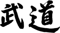 Budo kanji